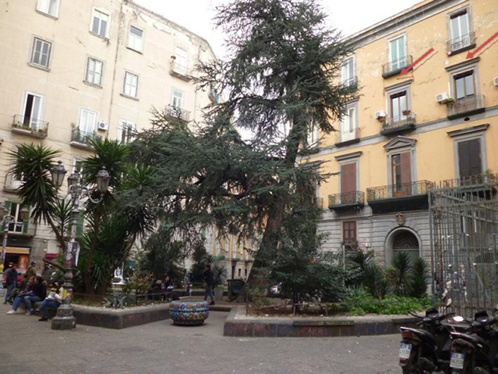 Apartment 25 Neapol Zewnętrze zdjęcie